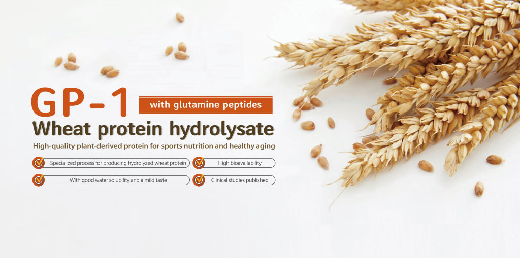 GP-1-wheat-protein-hydrolysate-glutamine-peptides