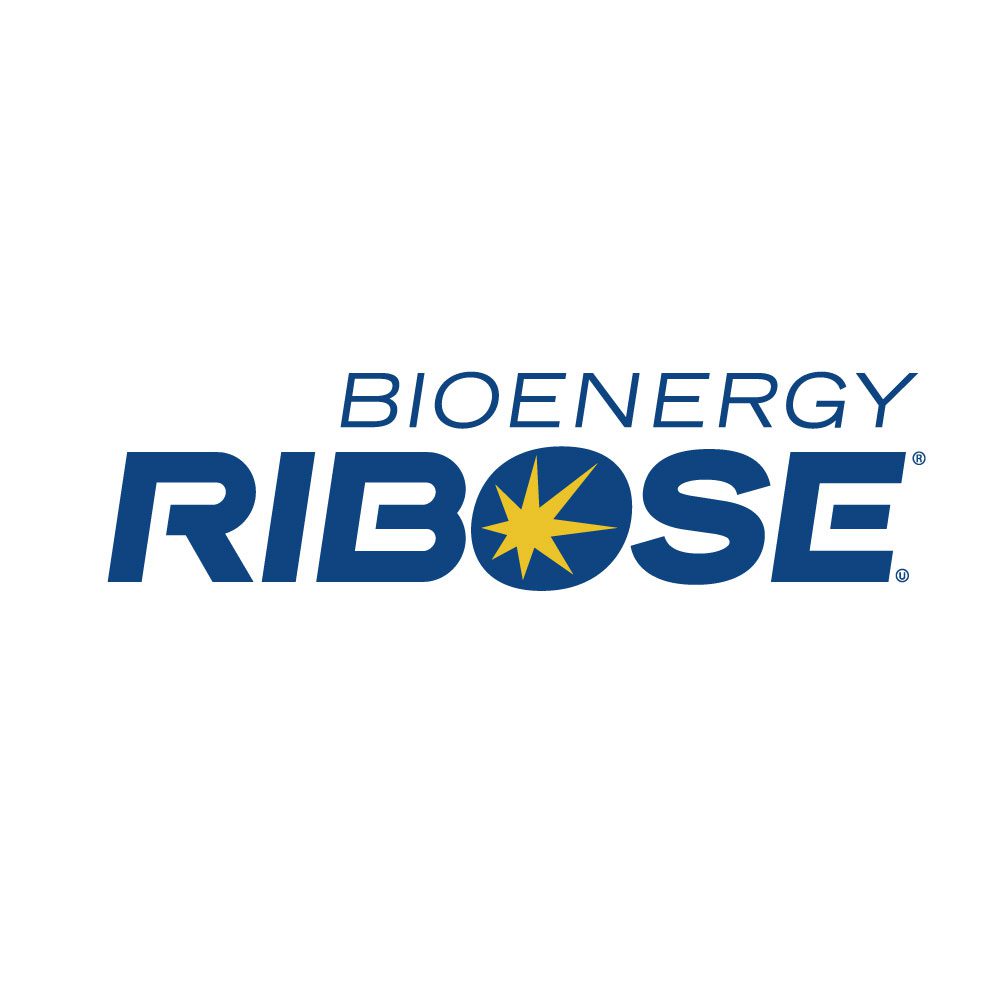 D-核糖、RIBOSE
