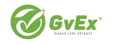 GvEx LOGO