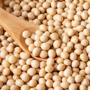 Leci-Choline 大豆卵磷脂
