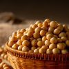 Leci-Choline 磷脂醯膽鹼 Epikuron系列
