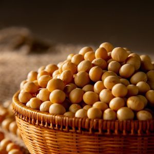 Leci-Choline 磷脂醯膽鹼 Epikuron系列