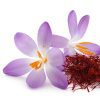 Saffr'Activ®、番紅花萃取物