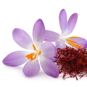 Saffr'Activ®、番紅花萃取物