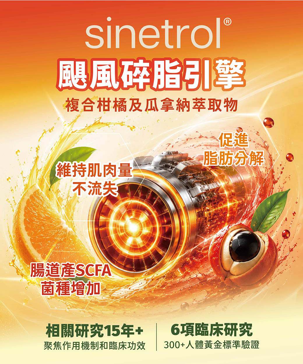 sinetrol, 減肥, 原料
