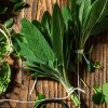 Ursolia 鼠尾草萃取物