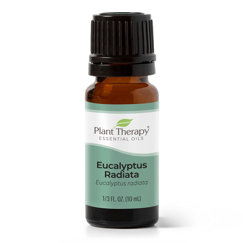 Plant Therapy®、植馨源、Eucalyptus Radiata Essential Oil