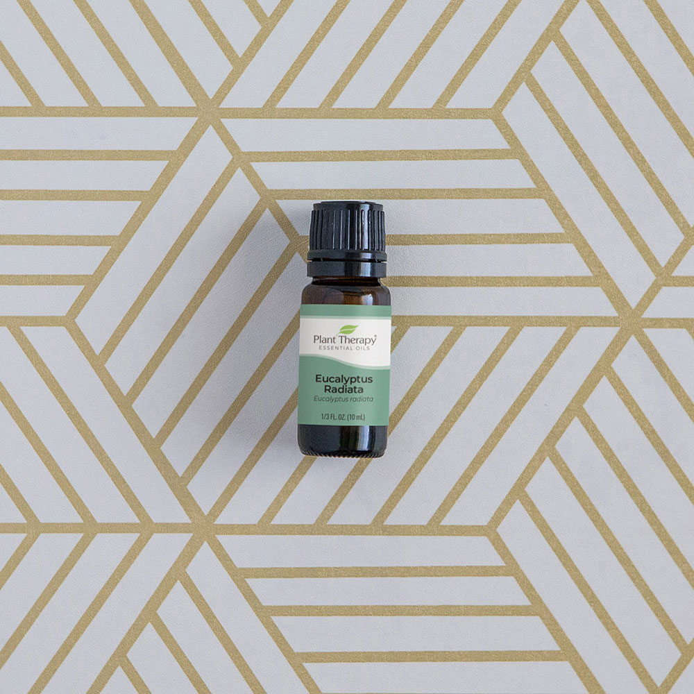 Plant Therapy®、植馨源、Eucalyptus Radiata Essential Oil