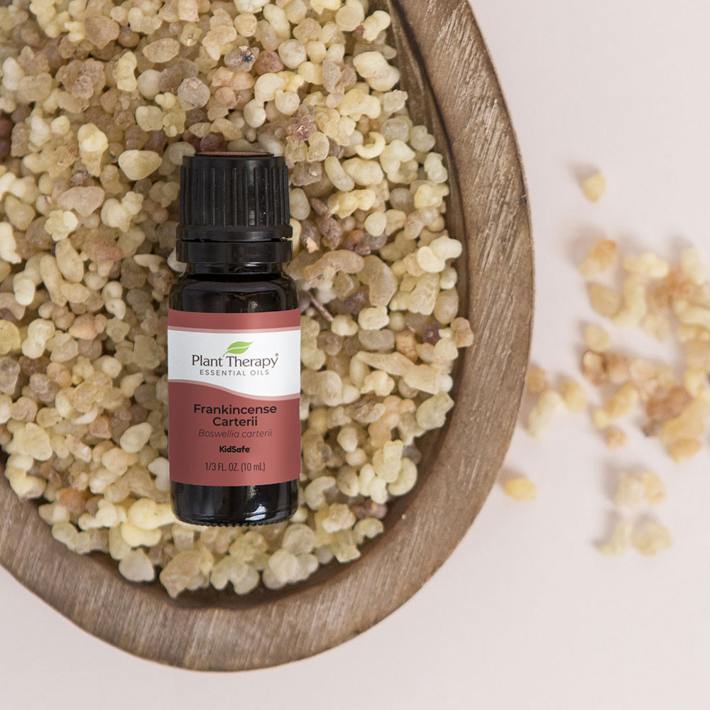 Plant Therapy®、植馨源、Frankincense Carterii Essential Oil