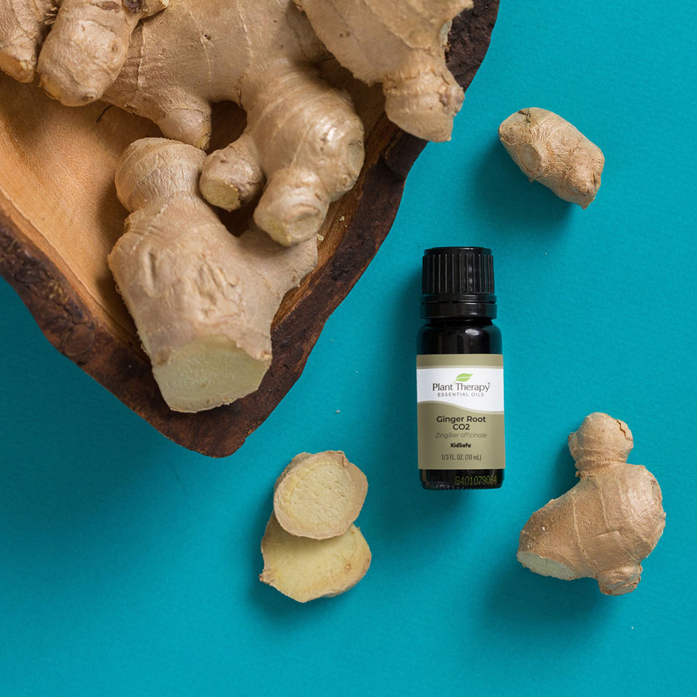 Plant Therapy®、植馨源、Ginger Root co2 Essential Oil