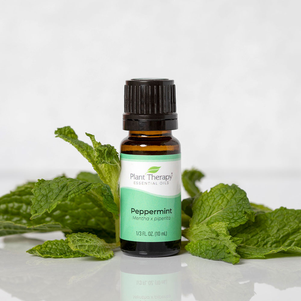 Plant Therapy®、植馨源、Peppermint Essential Oil