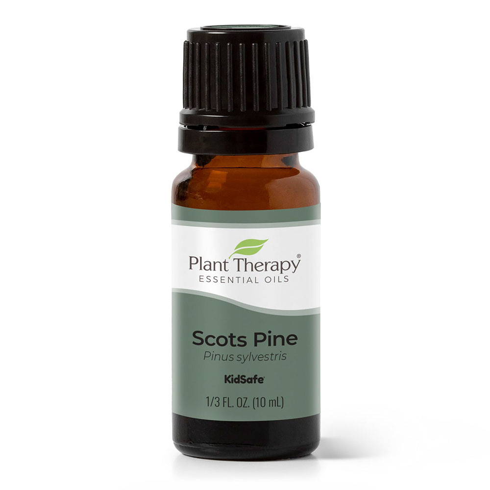 Plant Therapy®、植馨源、Scots Pine Essential Oil