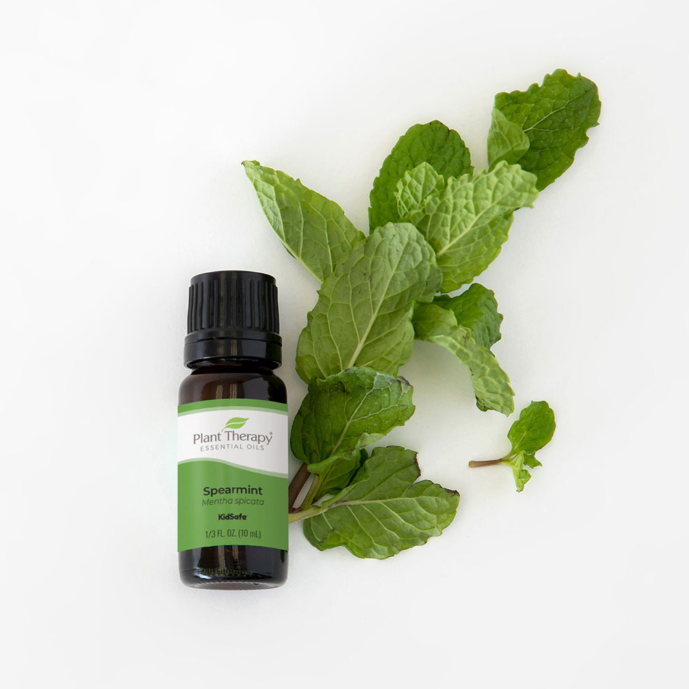 Plant Therapy®、植馨源、Spearmint Essential Oil